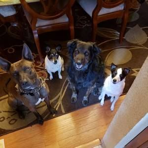 Meet your Posher, Debbie